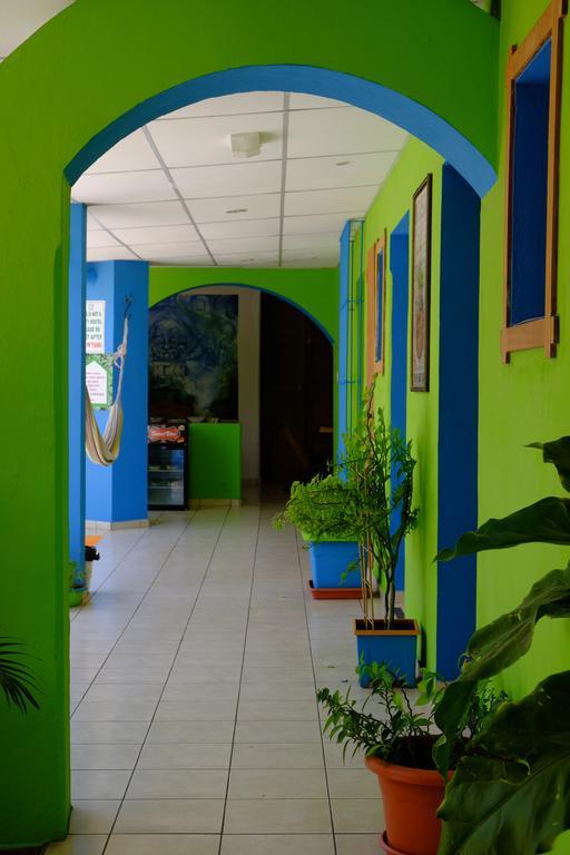 Hostal Casa Verde Σάντα Άνα Εξωτερικό φωτογραφία